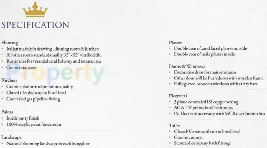 Project Specifications