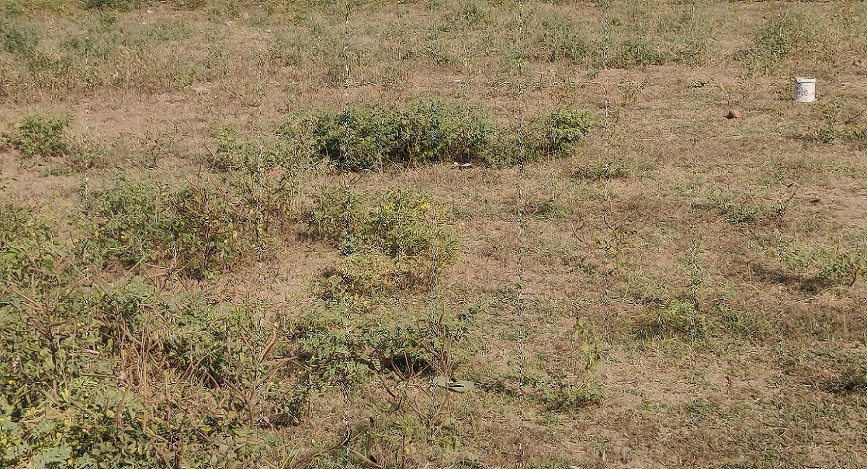 91836_const of real estate project Merriott Sky located at Nikol, Ahmedabad, Gujarat