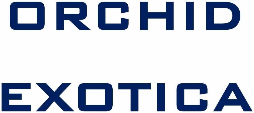  of real estate project Orchid Exotica located at Makarba, Ahmedabad, Gujarat