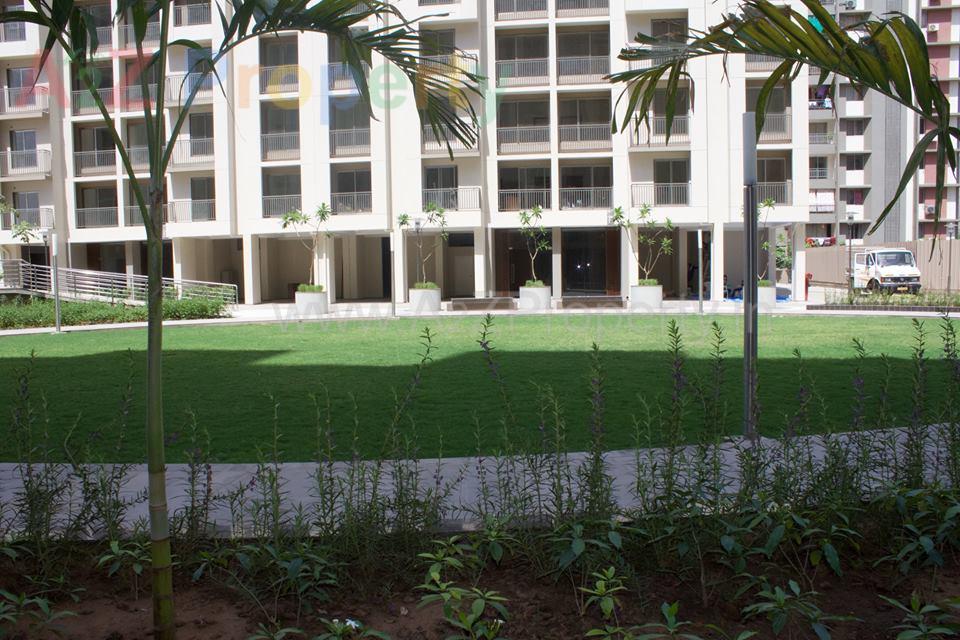 3D Elevation of real estate project Orchied Paradise located at Ahmedabad, Ahmedabad, Gujarat