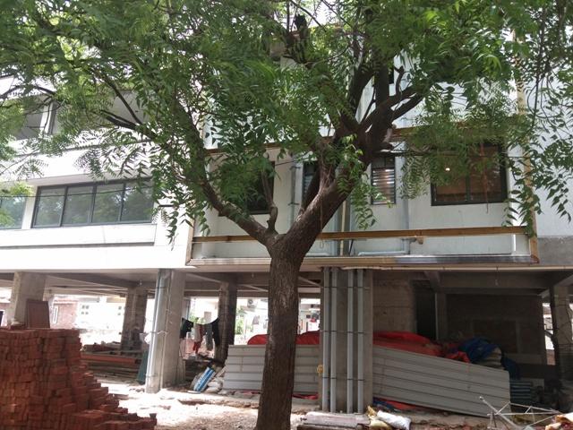 186297_const of real estate project Shrey Residency located at Usmanpura, Ahmedabad, Gujarat