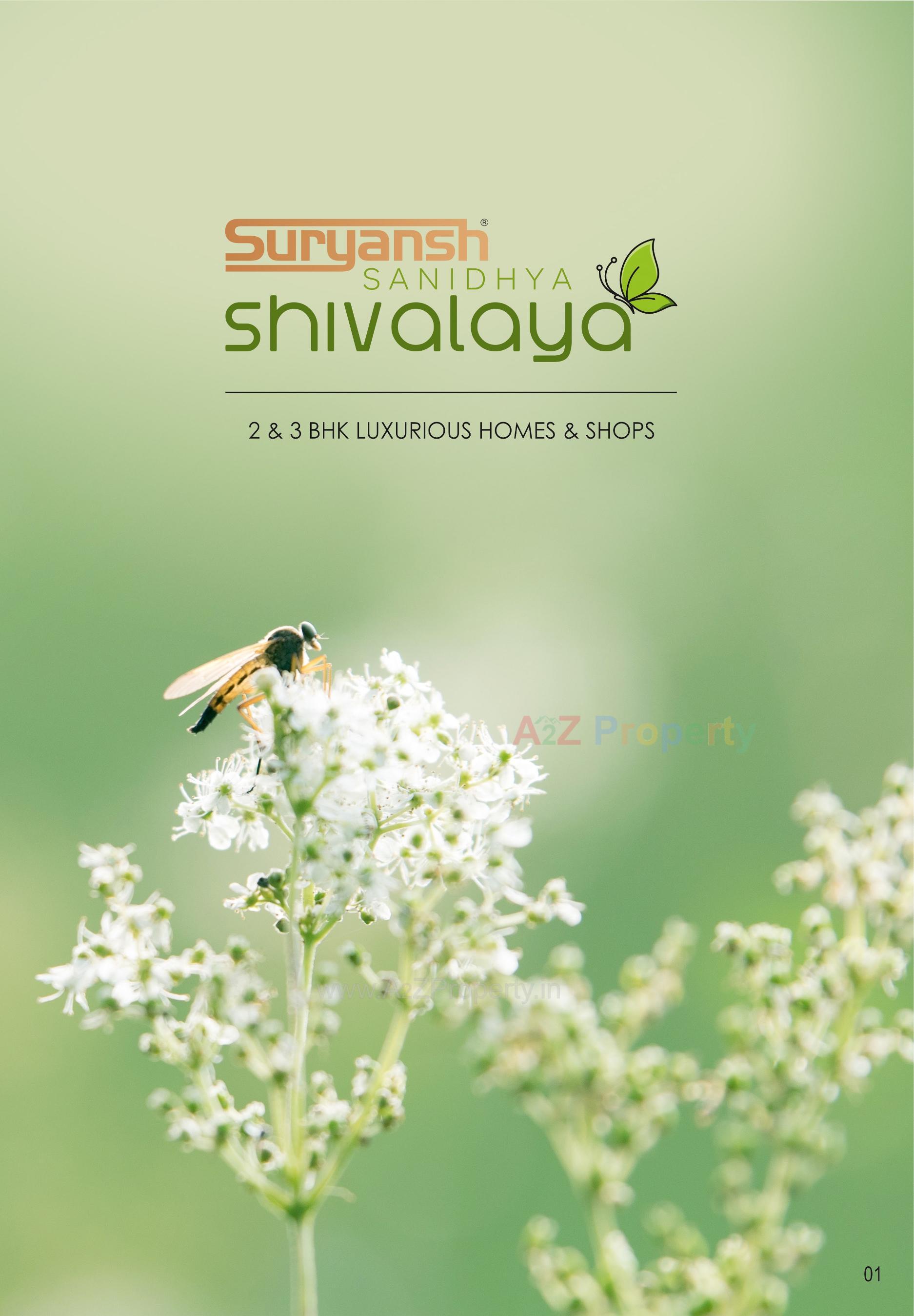  of real estate project Suryansh Sanidhya (shivalaya) located at Ahmedabad, Ahmedabad, Gujarat
