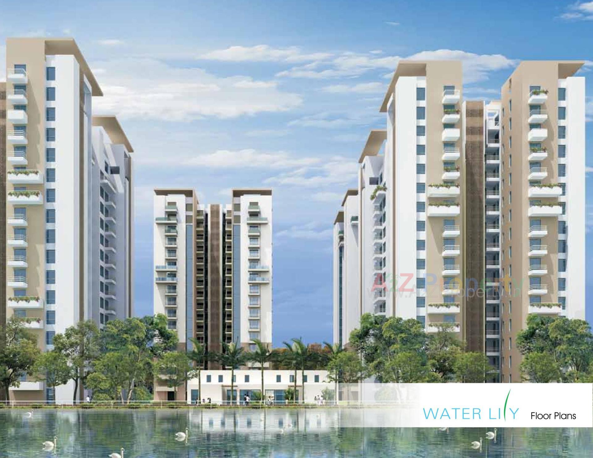 3D Elevation of real estate project Water Lily Ph (towers   C5,c6,c11,c12) located at Khodiyar, Ahmedabad, Gujarat