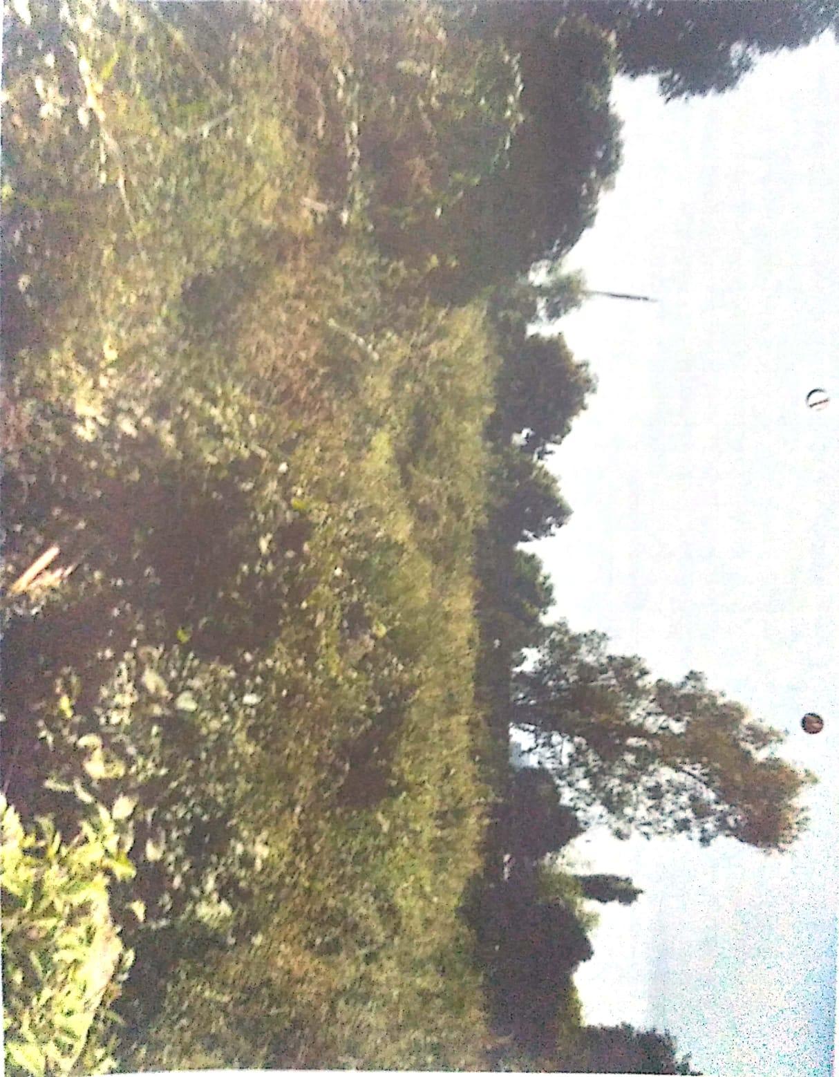 83537_const of real estate project Sahajanand Avenue located at Zadeshwar, Bharuch, Gujarat