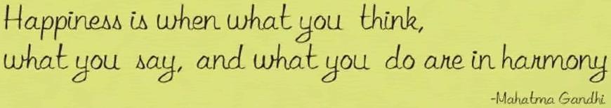 Layout of real estate project Vishvam Green located at Nandelav, Bharuch, Gujarat