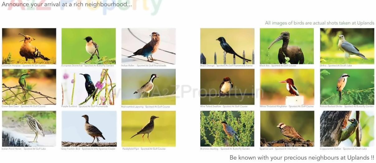  of real estate project Arvind Uplands located at Nasmed-adhana, Gandhinagar, Gujarat