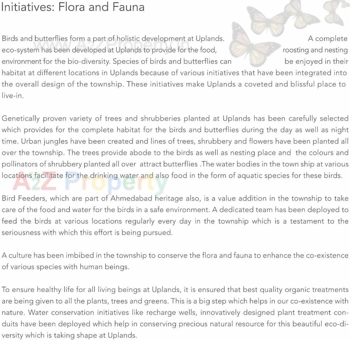 Project Specifications