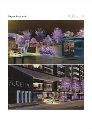 Elevation of real estate project Aurelia located at Koba, Gandhinagar, Gujarat