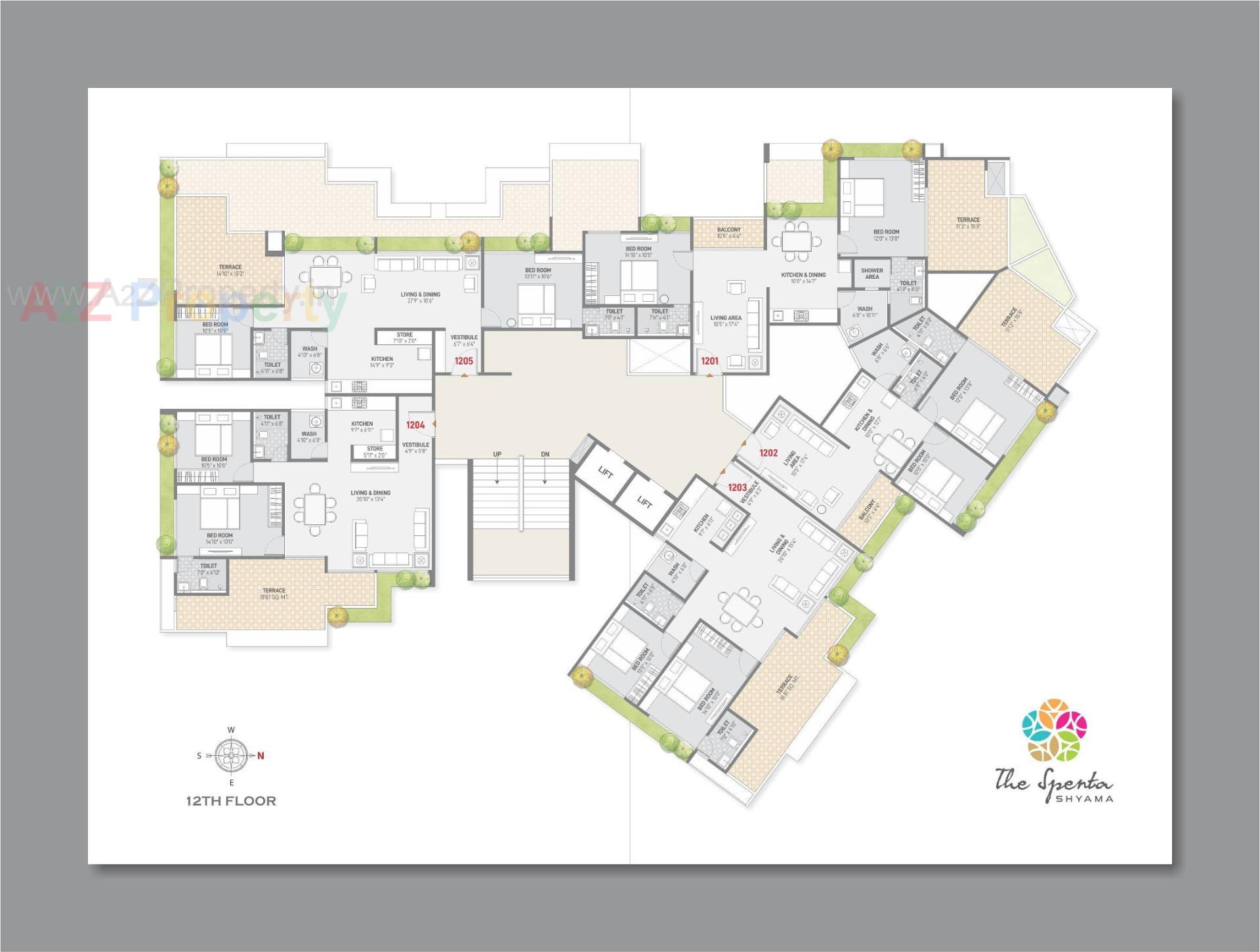 Layout of real estate project The Spenta Shyama located at Vavol, Gandhinagar, Gujarat