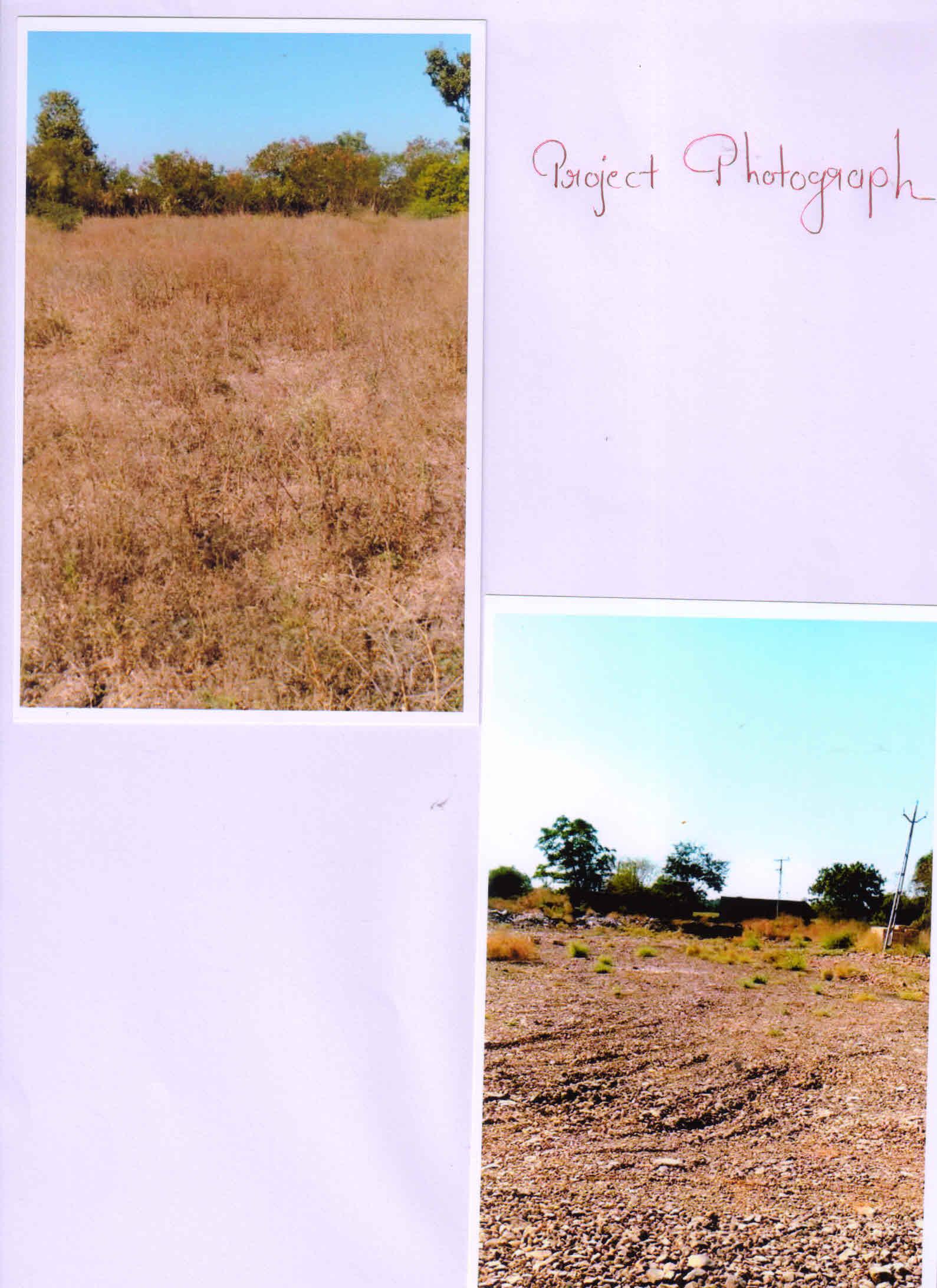 167682_const of real estate project Royal located at Keshod, Junagadh, Gujarat