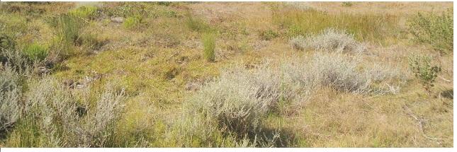 163419_const of real estate project Solitaire located at Dist-nadiad, Kheda, Gujarat