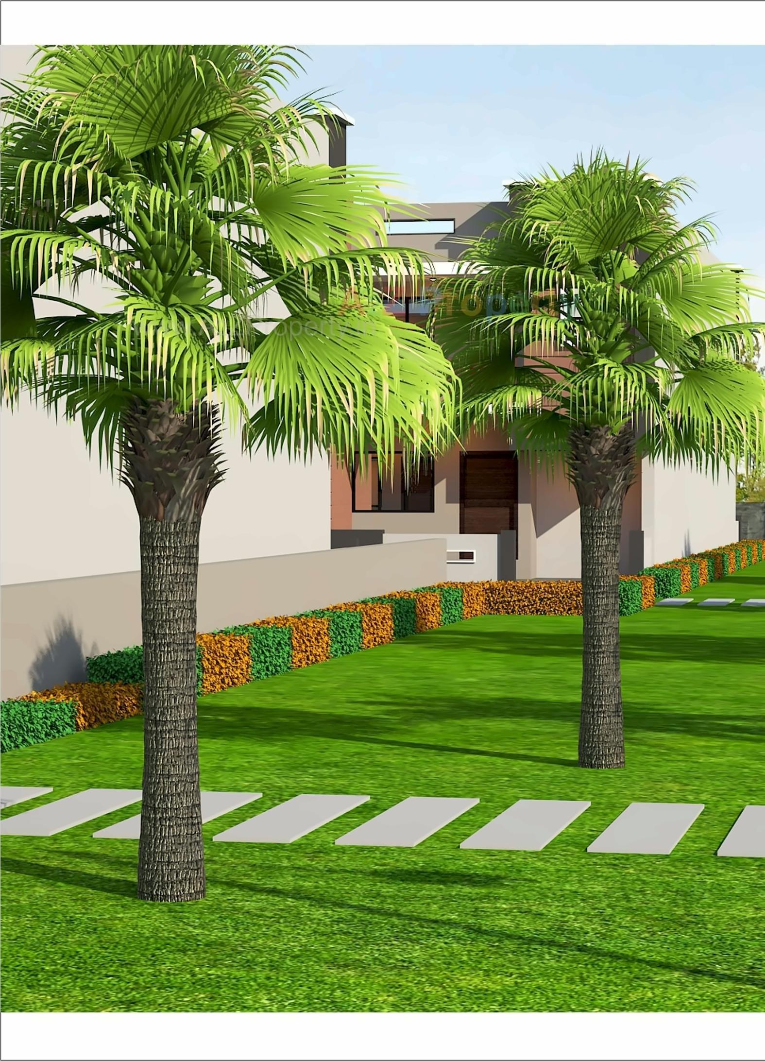 3D Elevation of real estate project Shiv Palace located at Kadi, Mehsana, Gujarat