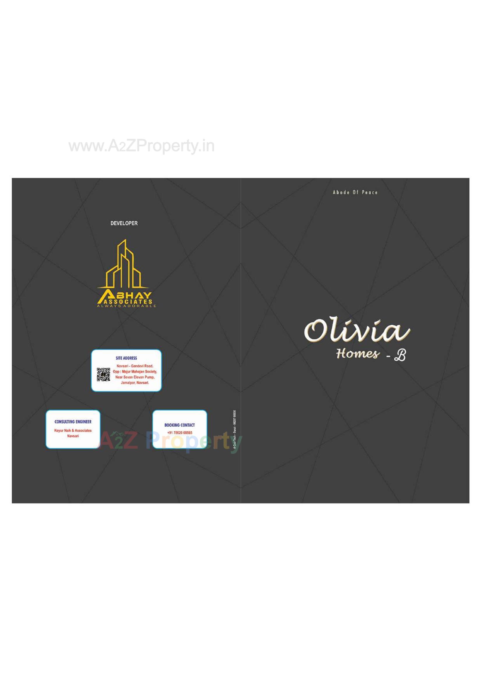  of real estate project Olivia Homes located at Jamalpore, Navsari, Gujarat