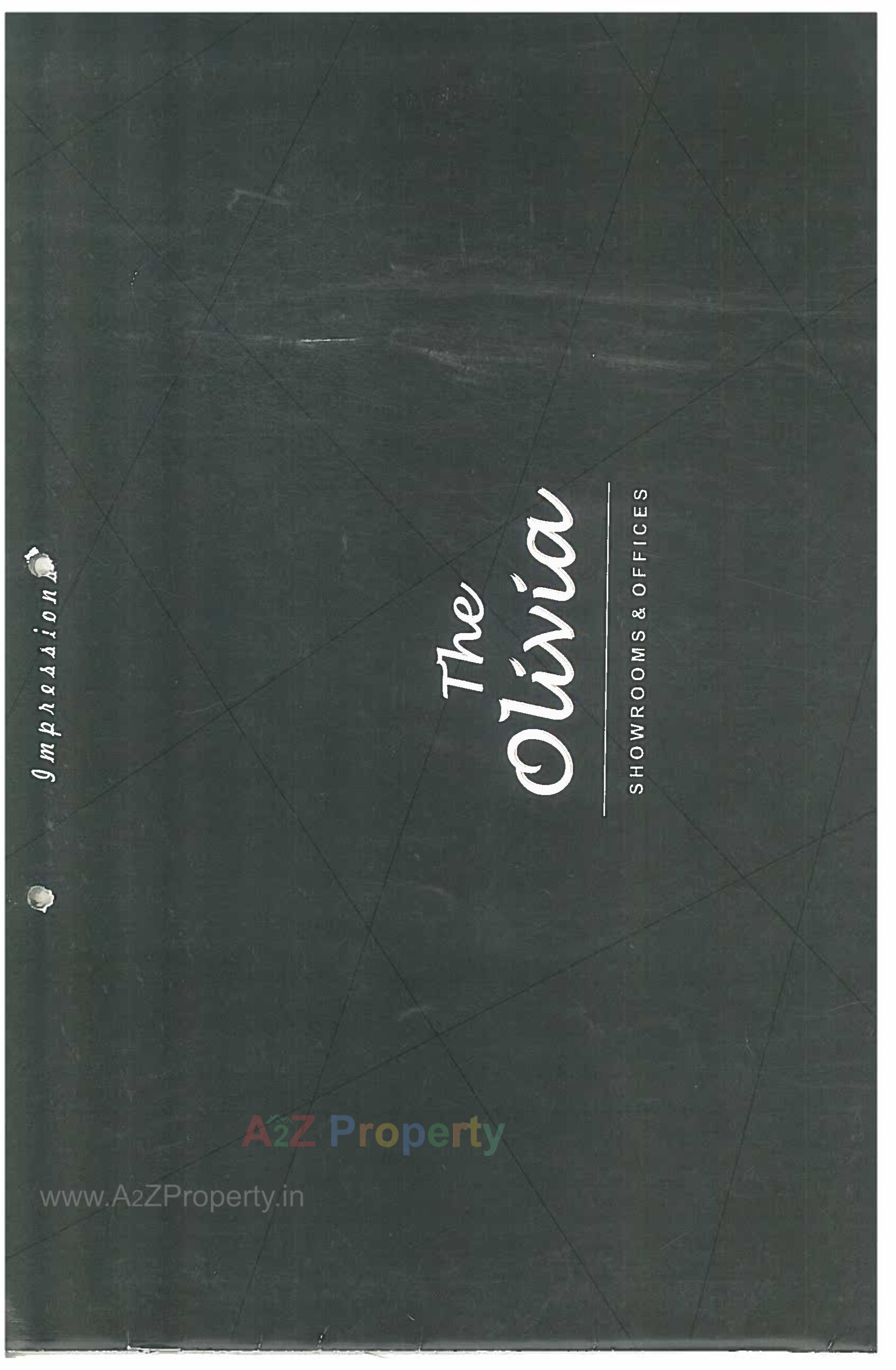  of real estate project The Olivia located at Jamalpore, Navsari, Gujarat