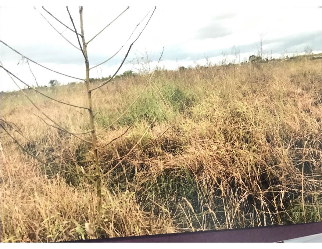 101845_const of real estate project Hari Darshan Row House located at Karmala, Surat, Gujarat