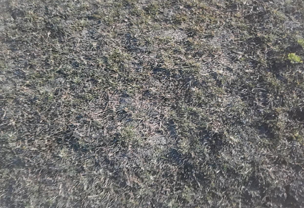 10059_const of real estate project Om Residency located at Pali, Surat, Gujarat