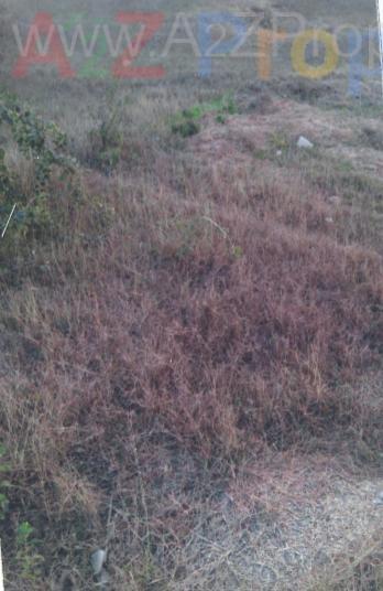 56061_const of real estate project Seven Heights located at Dindoli, Surat, Gujarat