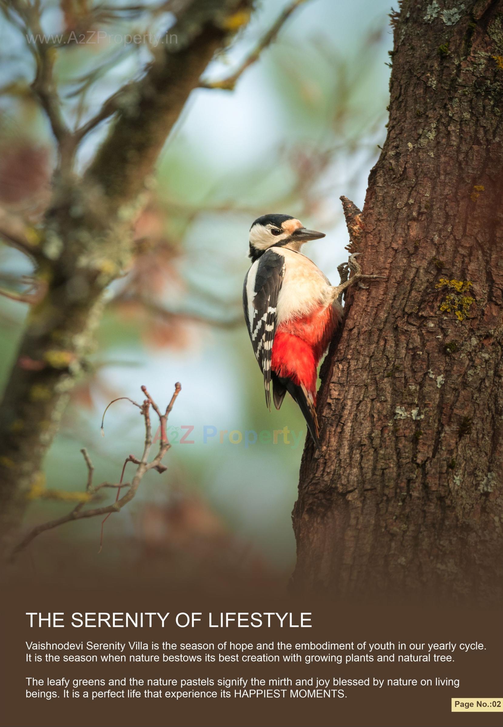  of real estate project Vaishnodevi Serenity Villa located at Chichi, Surat, Gujarat