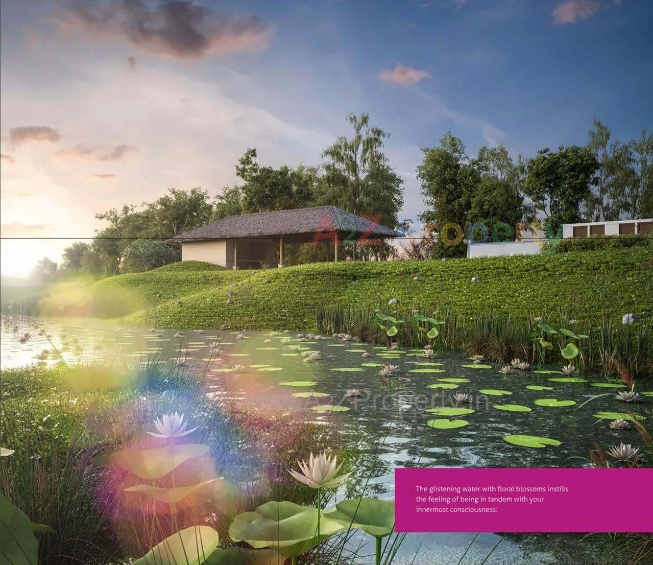 3D Elevation of real estate project Back To Heaven located at Chadsad, Vadodara, Gujarat