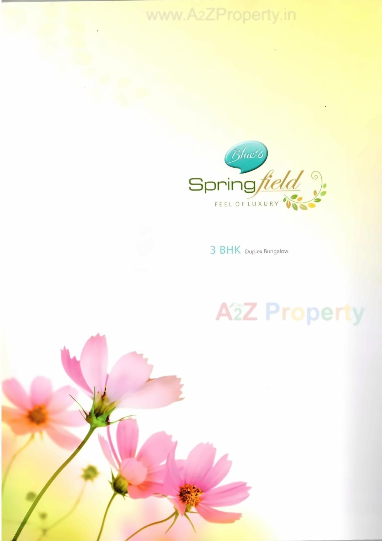  of real estate project Blue's Springfield located at Pavlepur, Vadodara, Gujarat