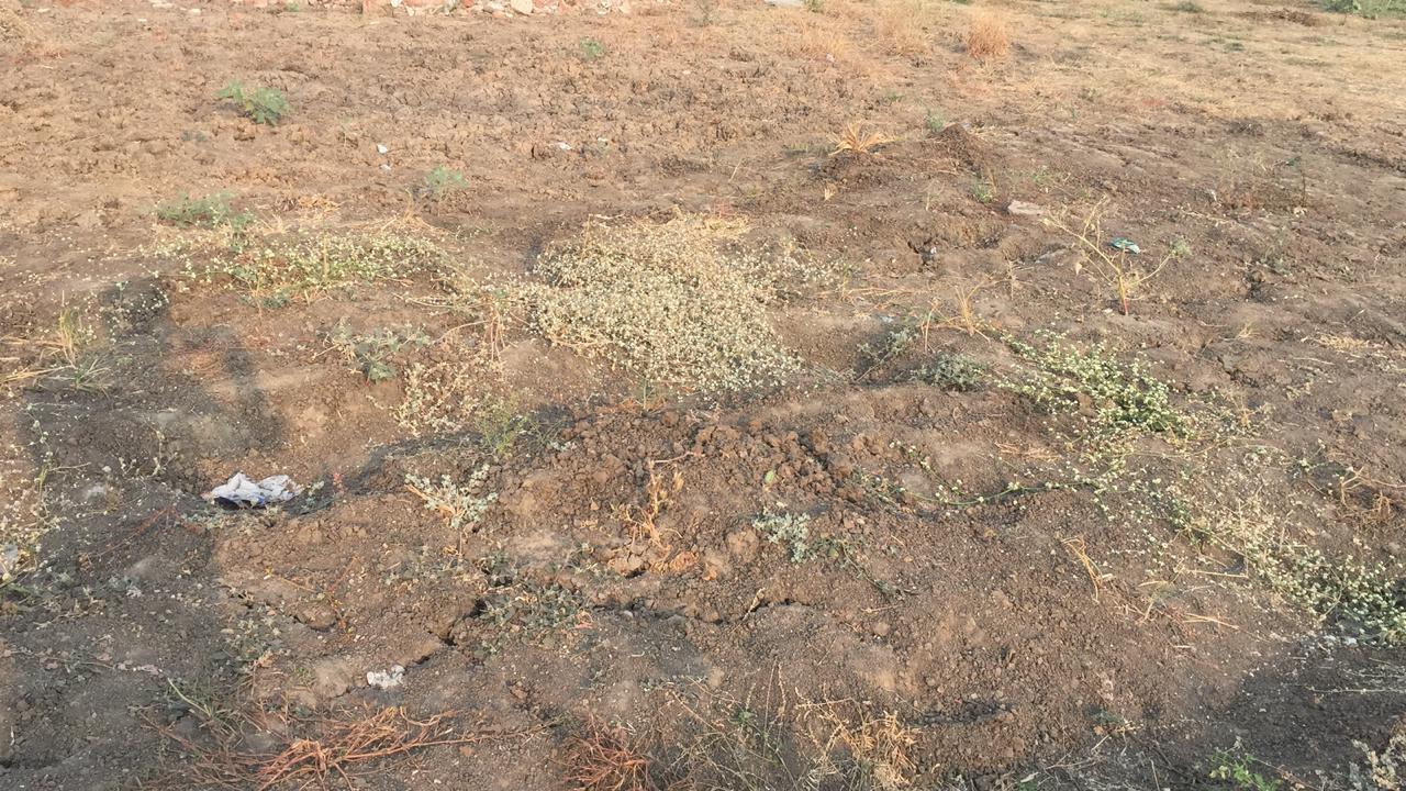 99123_const of real estate project Darbar Elecon located at Hetampura, Vadodara, Gujarat