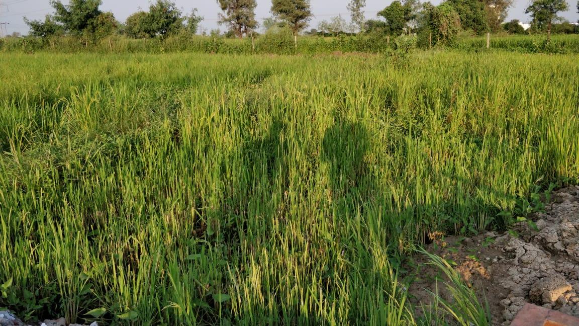 66621_const of real estate project Gaj Ganesh located at Hanumanpura, Vadodara, Gujarat