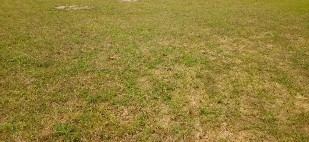 173784_const of real estate project Gajanana located at Kumetha, Vadodara, Gujarat