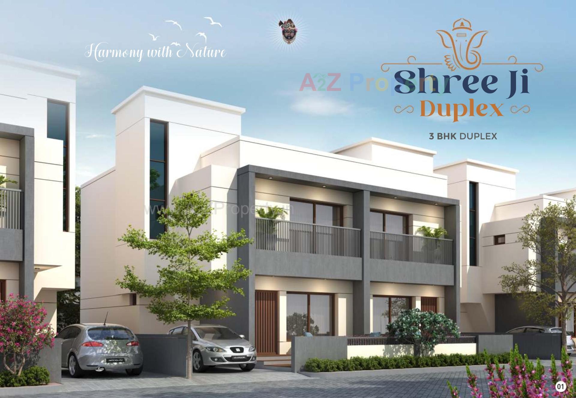 3D Elevation of real estate project Shreeji Duplex located at Karjan, Vadodara, Gujarat