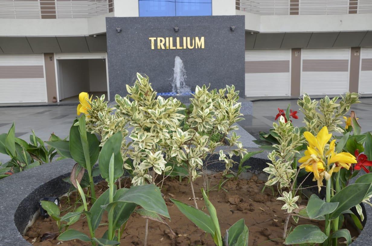 152773_const of real estate project The Trillium located at Bhayli, Vadodara, Gujarat