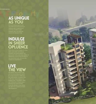 Elevation of real estate project Iris Sky Bungalows located at Tithal-road, Valsad, Gujarat