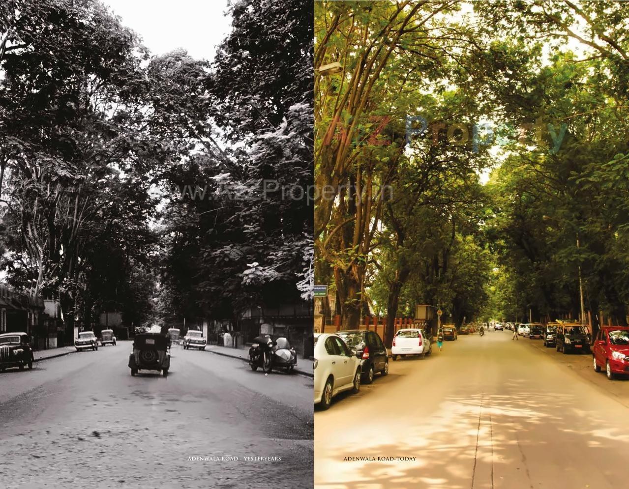 3D Elevation of real estate project Aden Court located at Fnorth400014, MumbaiCity, Maharashtra