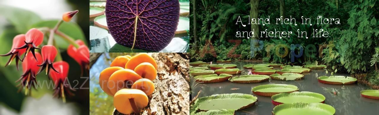  of real estate project Kanakia Rainforest located at Andheri, MumbaiSuburban, Maharashtra