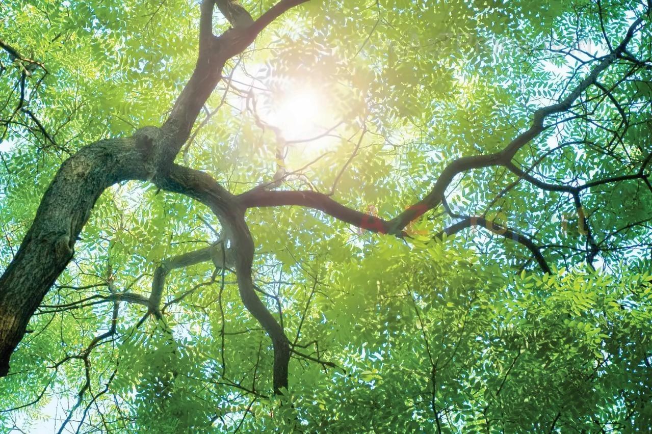 3D Elevation of real estate project Kaveri Apartments Chsl Triveni Eden located at Borivali, MumbaiSuburban, Maharashtra