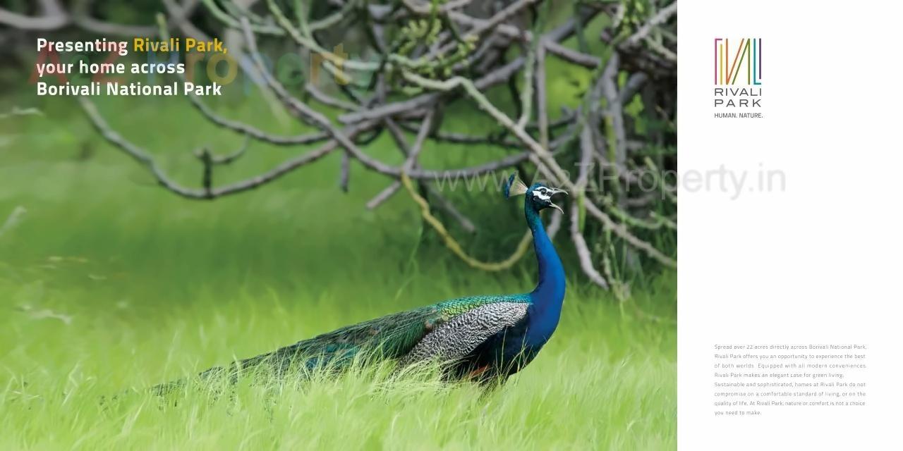  of real estate project Wintergreen located at Borivali, MumbaiSuburban, Maharashtra