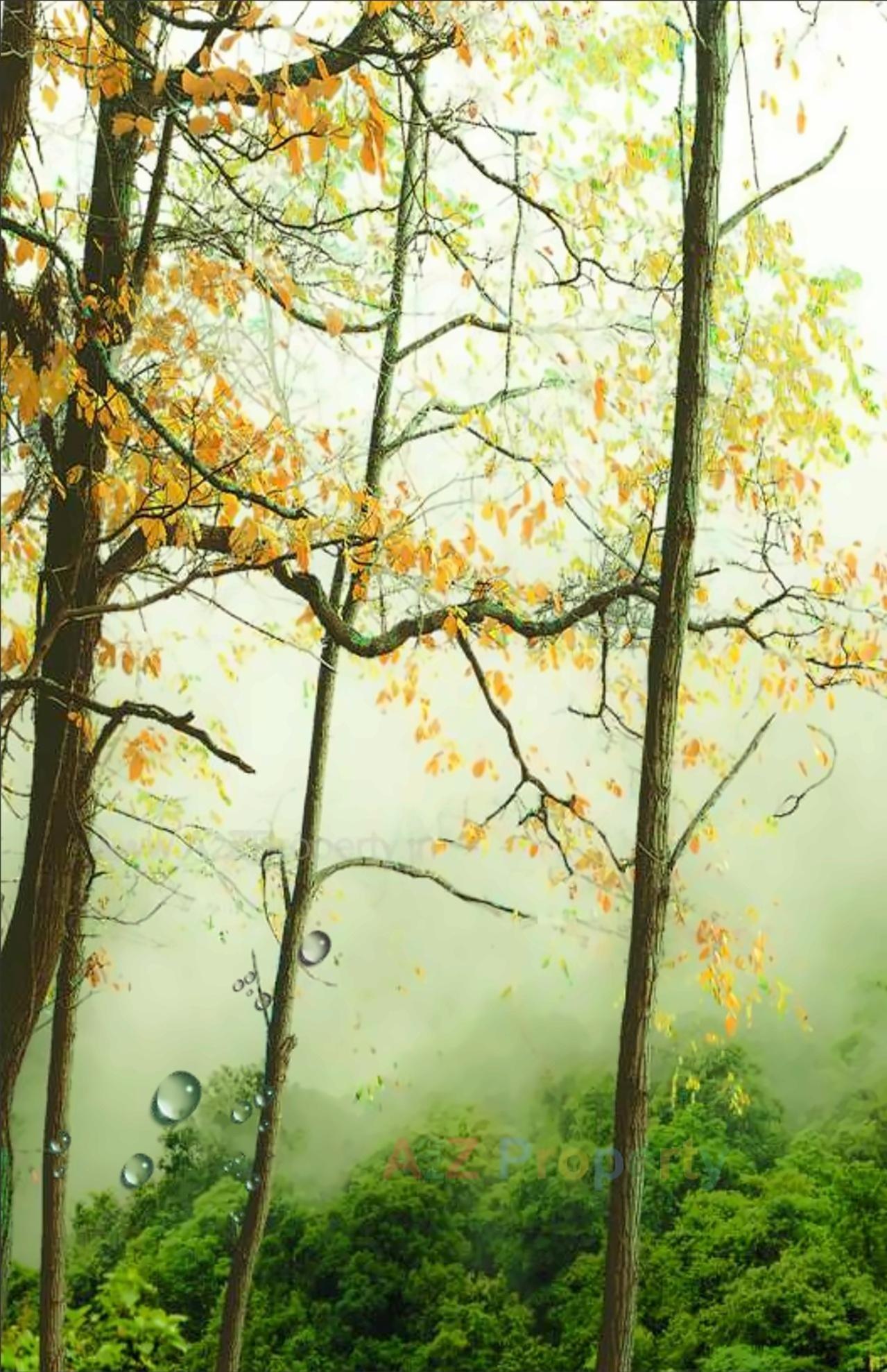 3D Elevation of real estate project Fog City Nsv located at Igatpuri-m-cl, Nashik, Maharashtra