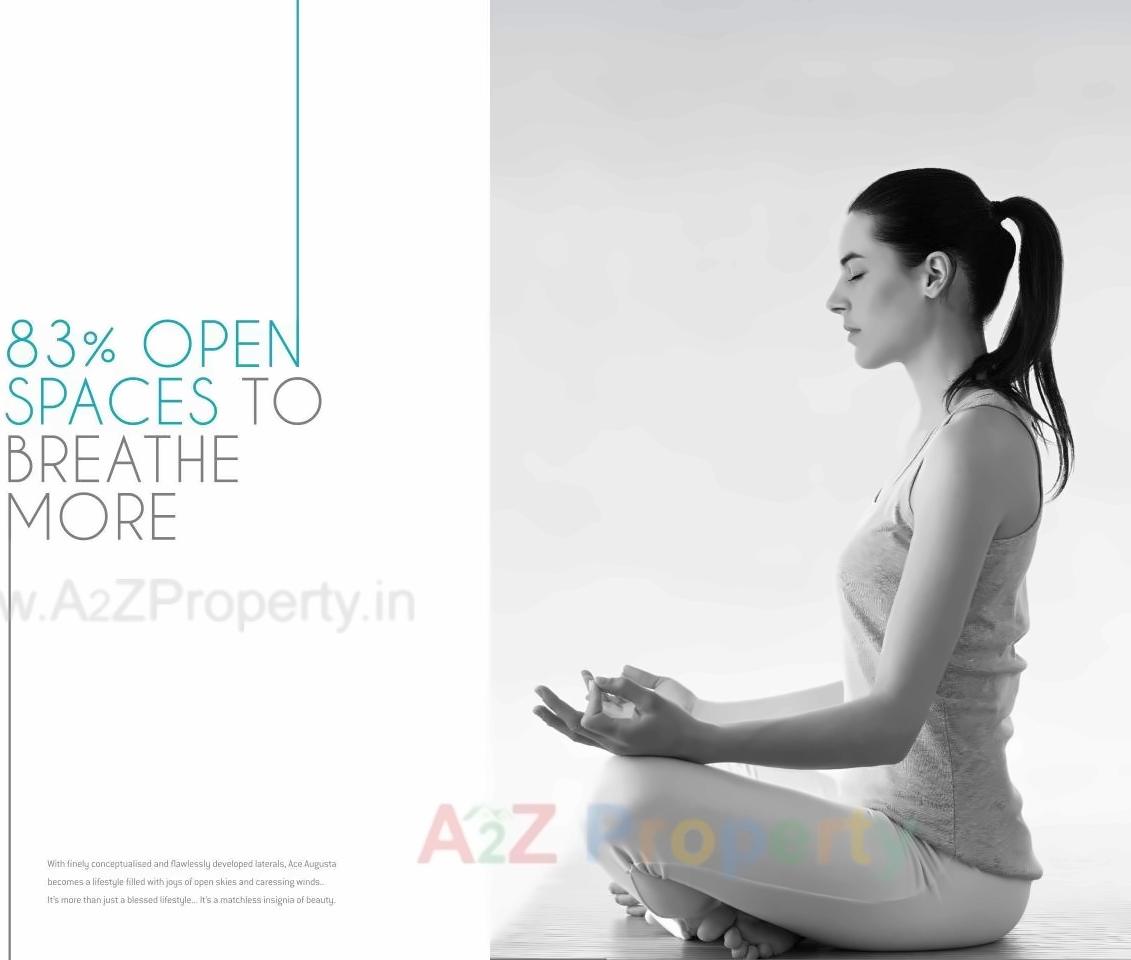  of real estate project Ace Augusta located at Man, Pune, Maharashtra