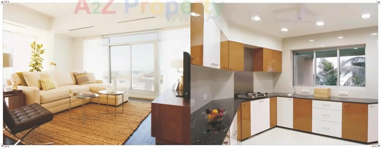 3D Elevation of real estate project Anand Residency located at Dhanori, Pune, Maharashtra