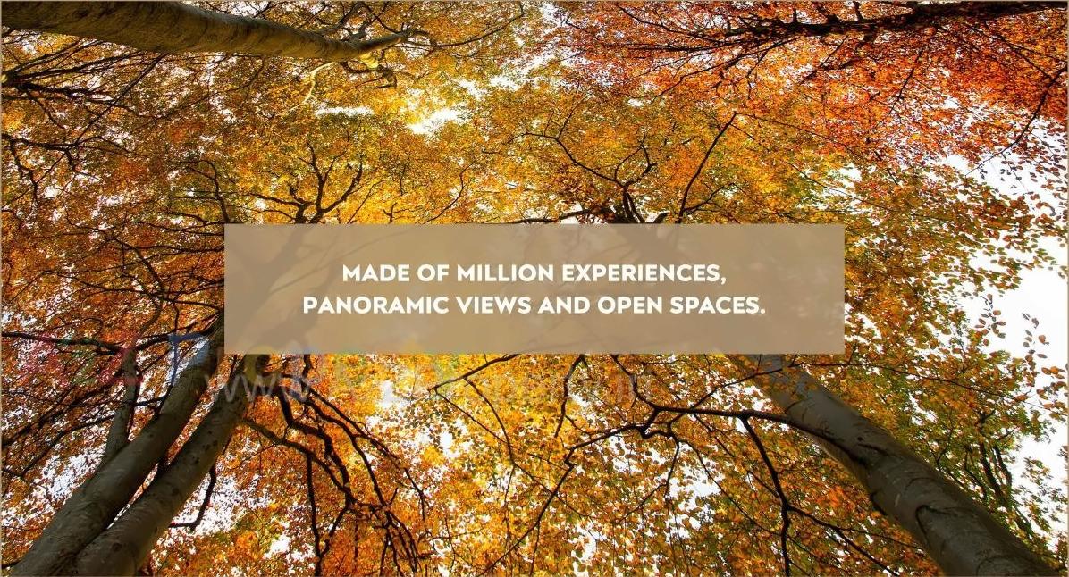 3D Elevation of real estate project Castel Royale Excellente located at Pune-m-corp, Pune, Maharashtra