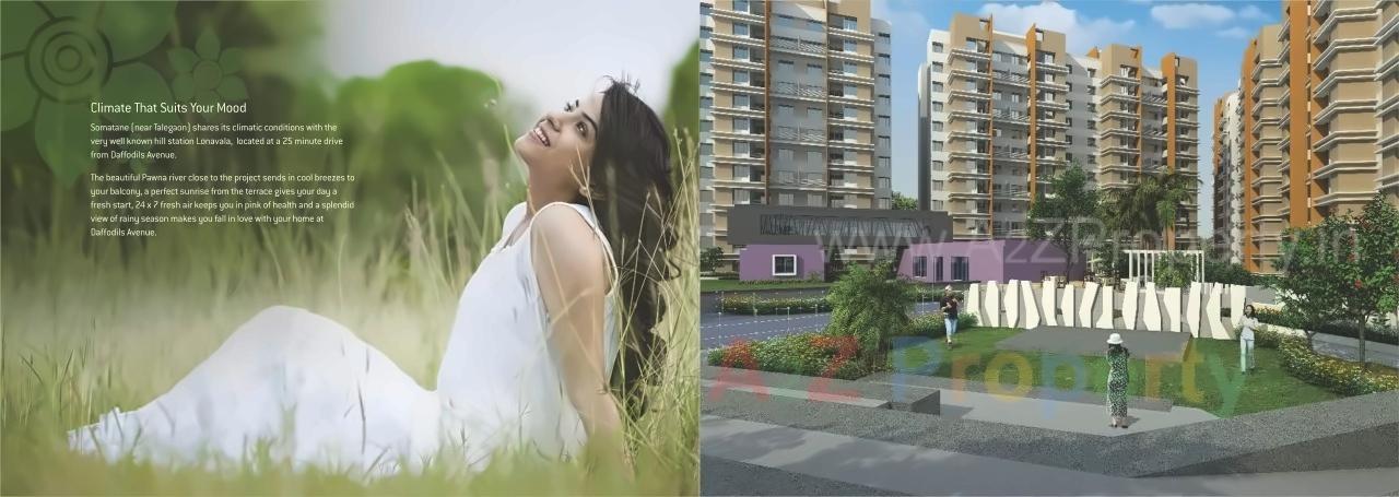 3D Elevation of real estate project Daffodils Avenue located at Somatane, Pune, Maharashtra