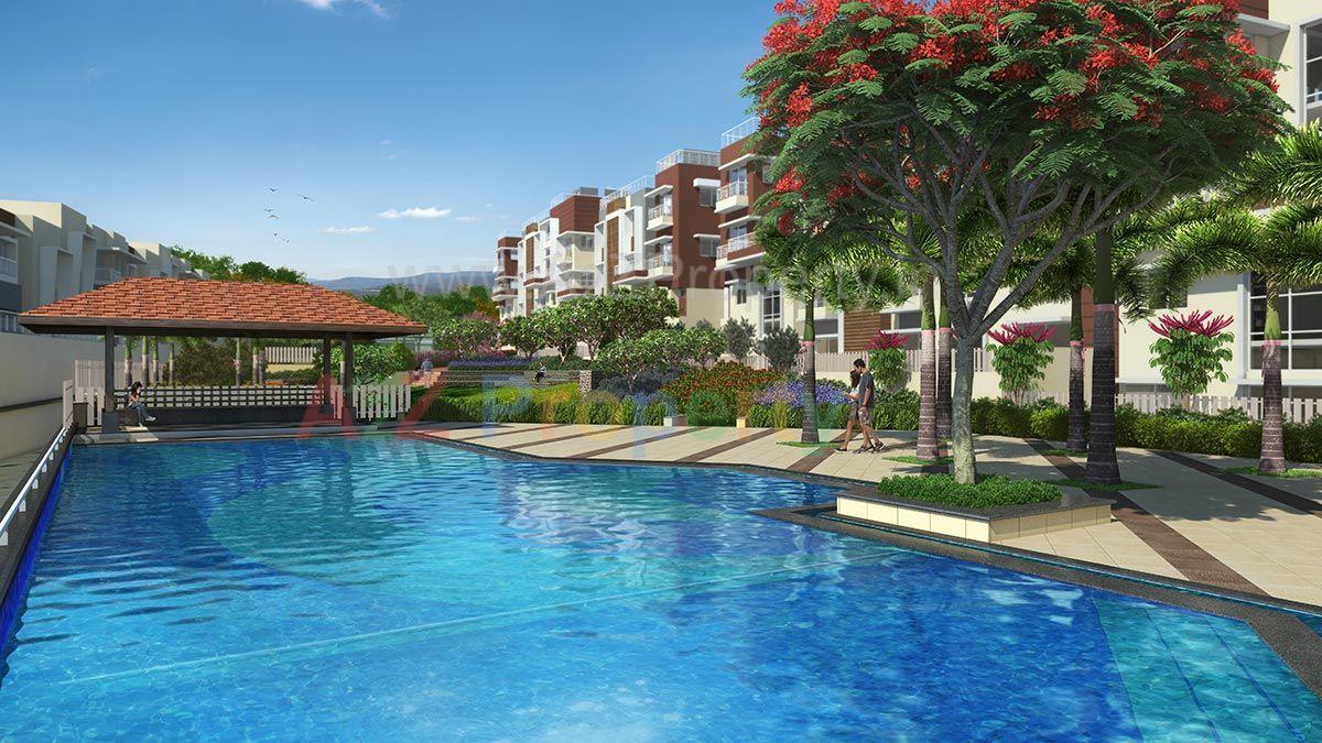 Swimming Pool & Kid’s Pool of real estate project Eagles Nest located at Wadagaon-ct, Pune, Maharashtra