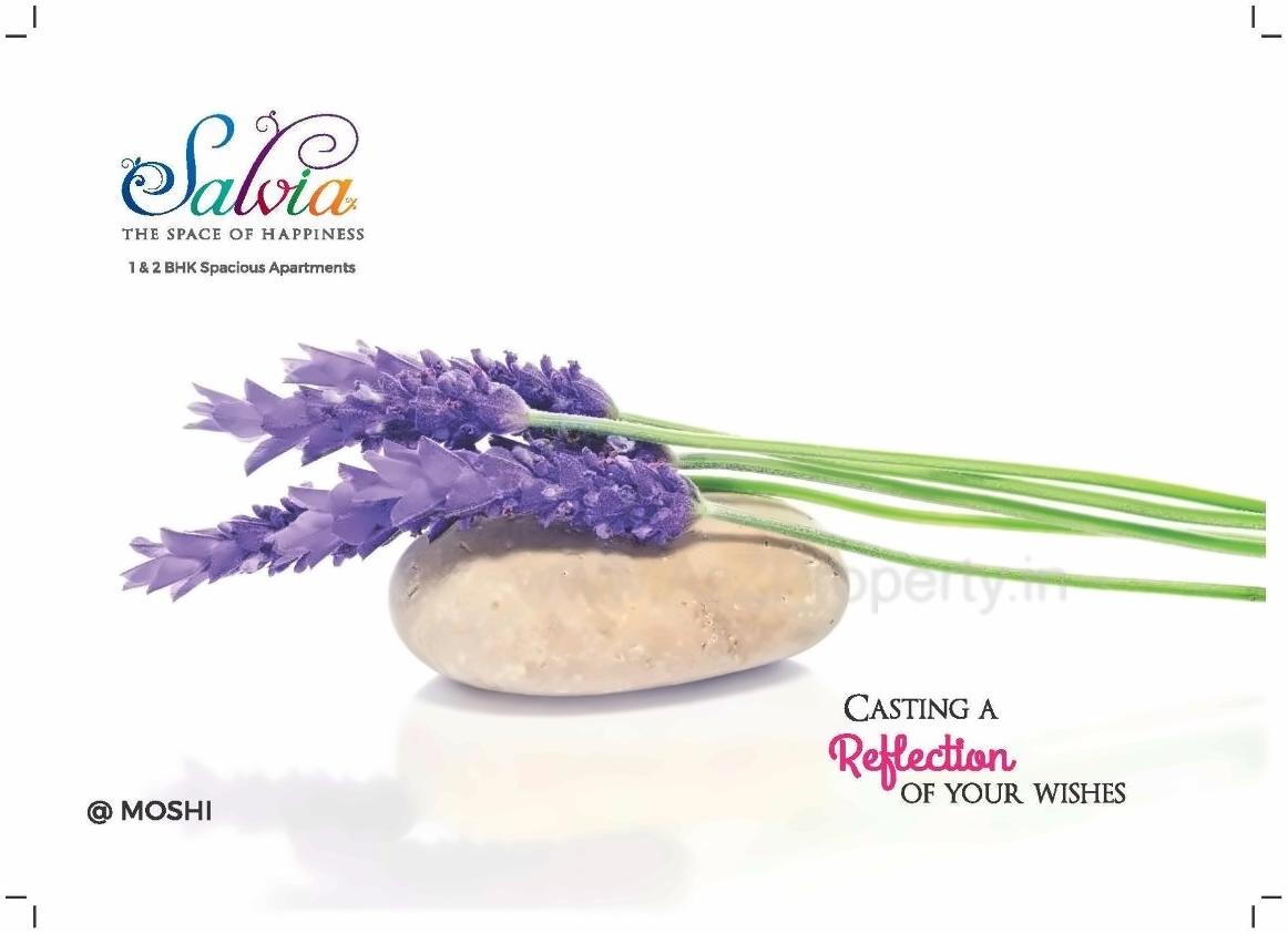  of real estate project Salvia located at Bhosari, Pune, Maharashtra