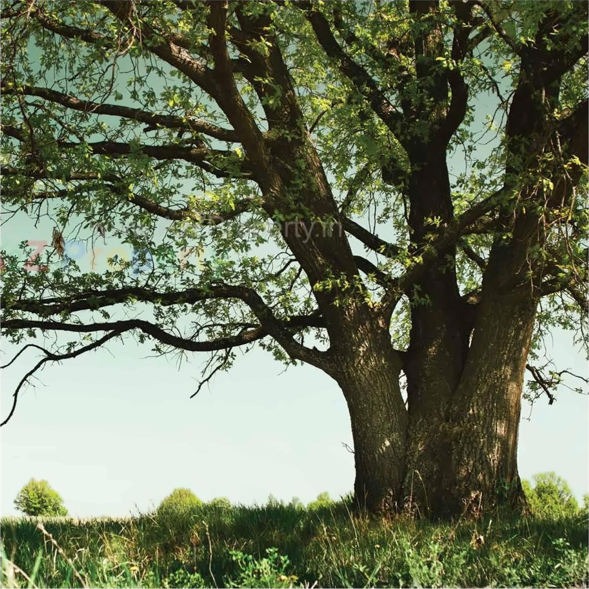 Image 21224 19 2 of real estate project Skyi Songbirds located at Bhugaon, Pune, Maharashtra