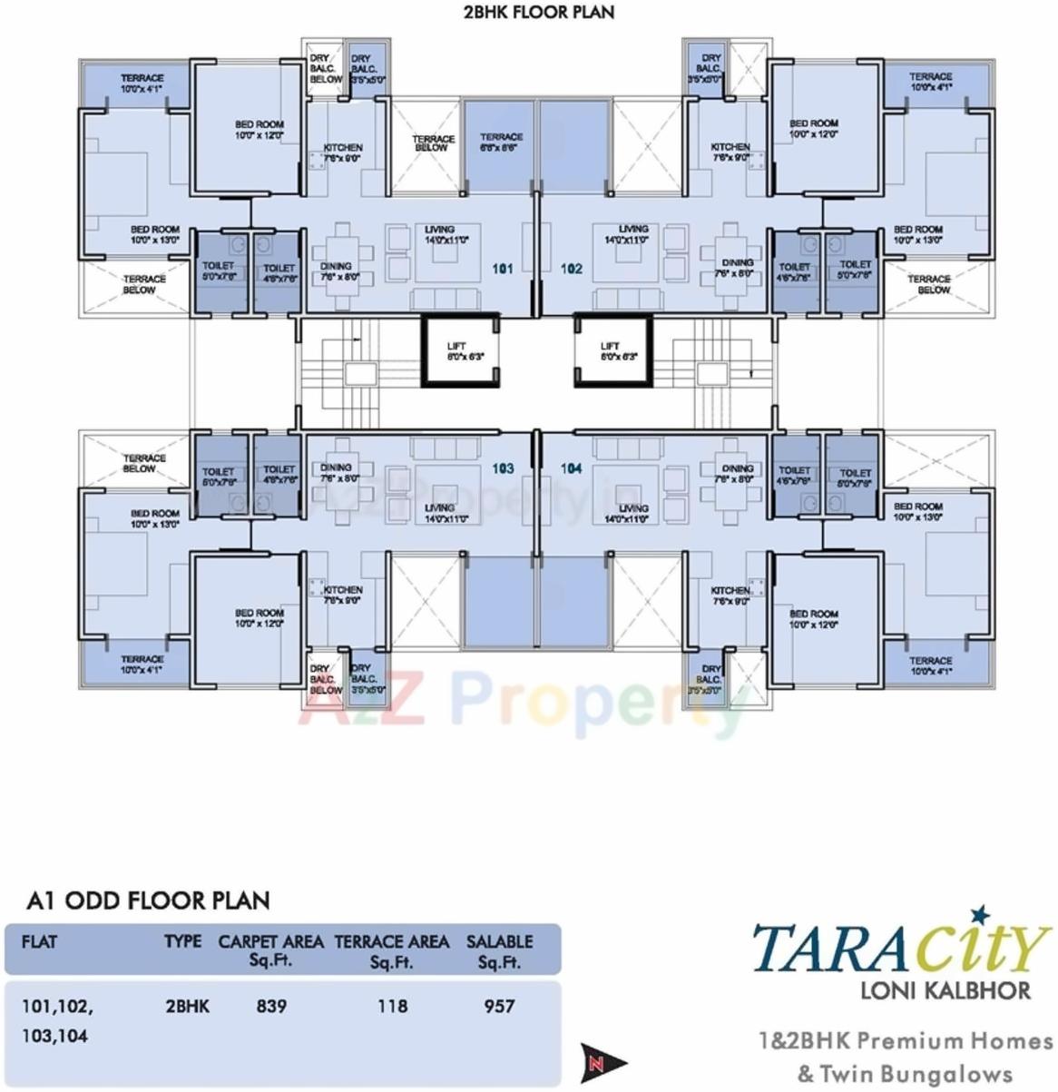 Layout of real estate project Tara City located at Lonikalbhor, Pune, Maharashtra