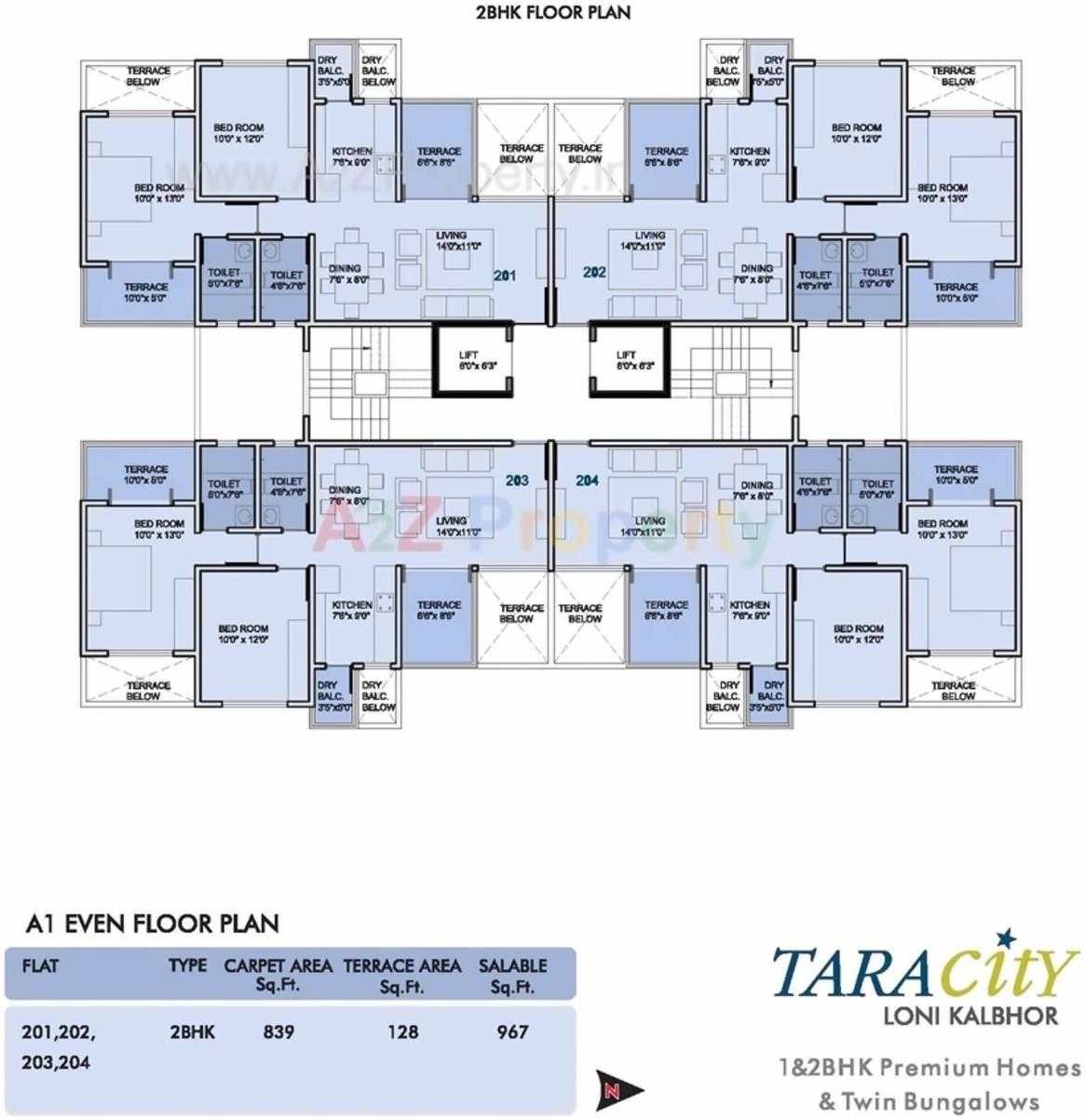 Layout of real estate project Tara City located at Lonikalbhor, Pune, Maharashtra