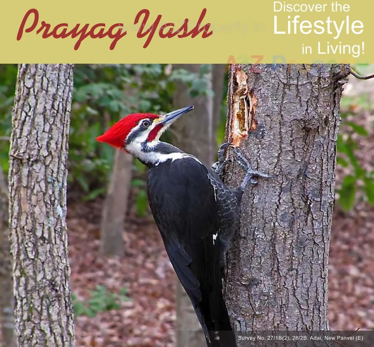  of real estate project Prayag Yash located at Adai, Raigarh, Maharashtra