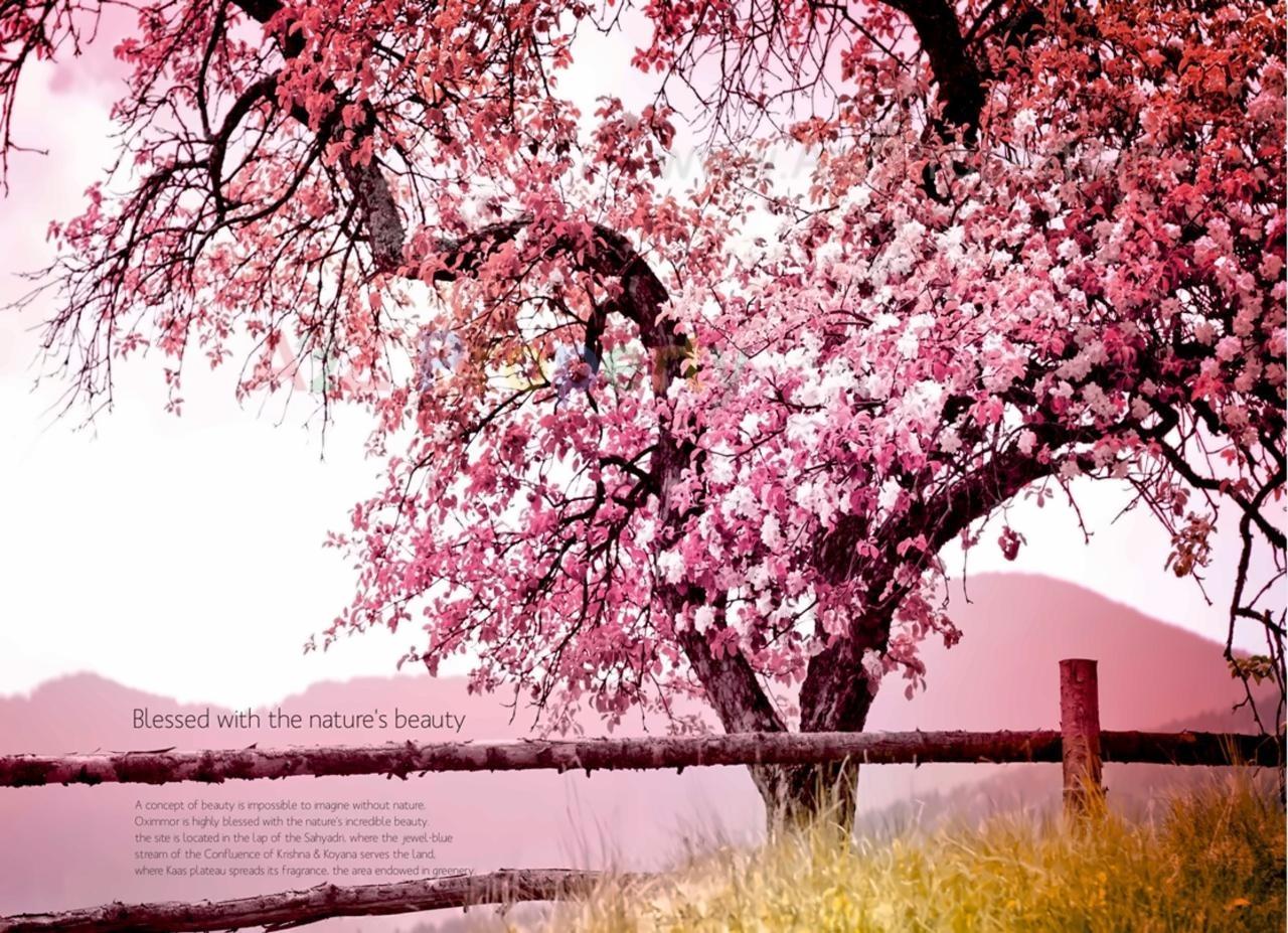  of real estate project Oximoor Hub located at Malkapur-np, Satara, Maharashtra