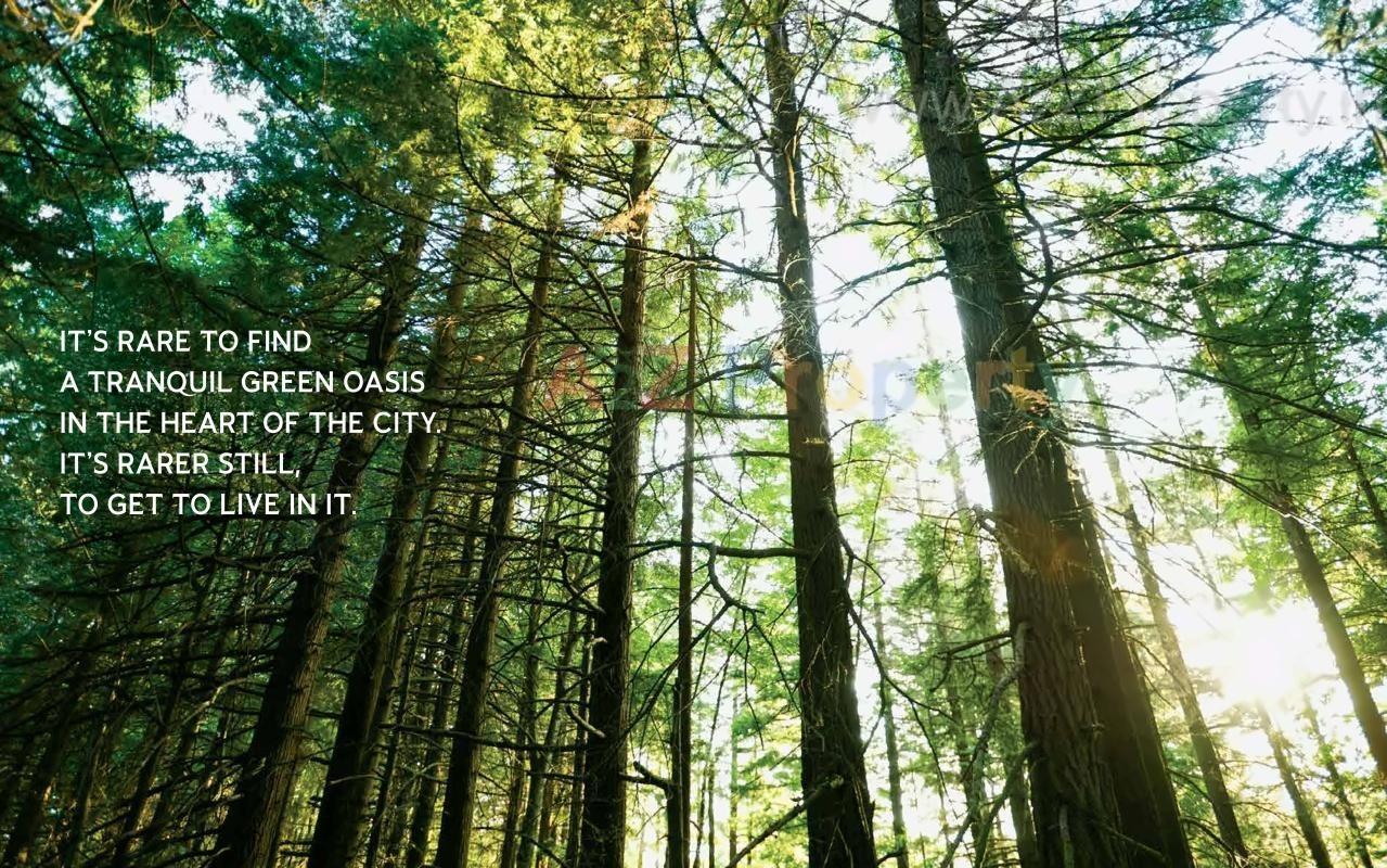 3D Elevation of real estate project Lodha Amara   Tower   5, located at Thane-m-corp, Thane, Maharashtra