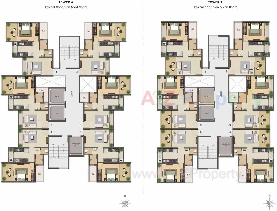 Layout of real estate project Tycoons Codename Goldmine Avenue located at Chikanghar, Thane, Maharashtra
